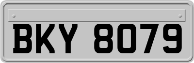BKY8079