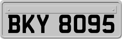 BKY8095