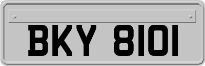 BKY8101