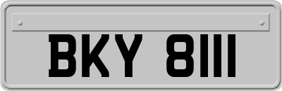 BKY8111