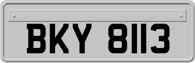 BKY8113
