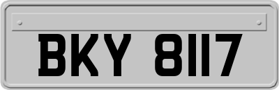 BKY8117