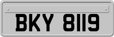 BKY8119