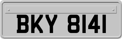 BKY8141