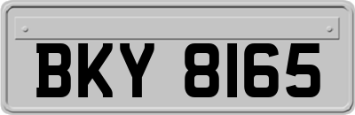 BKY8165