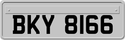 BKY8166