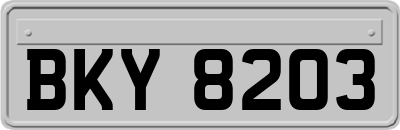 BKY8203