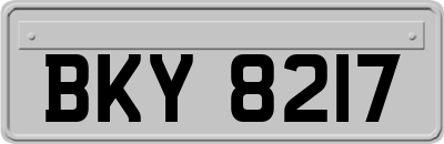 BKY8217