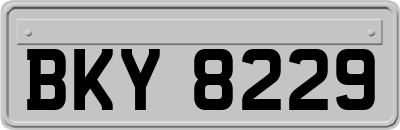 BKY8229