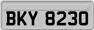 BKY8230