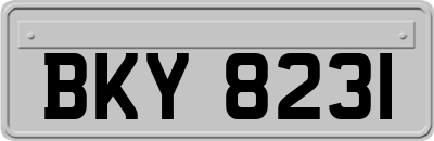 BKY8231