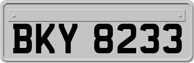 BKY8233