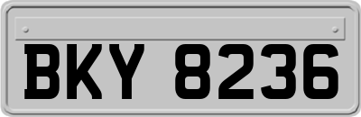 BKY8236