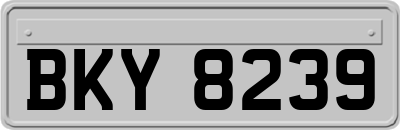 BKY8239