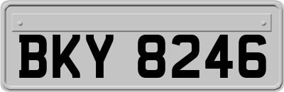 BKY8246