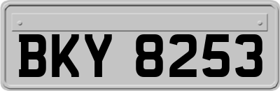 BKY8253