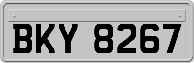 BKY8267