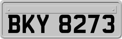 BKY8273