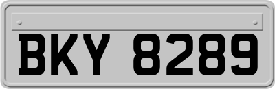 BKY8289