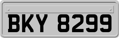 BKY8299