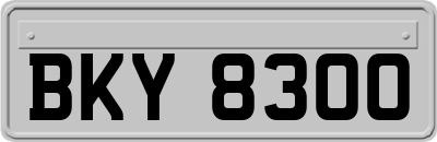 BKY8300