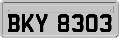 BKY8303