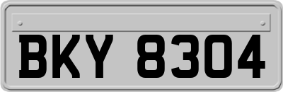 BKY8304