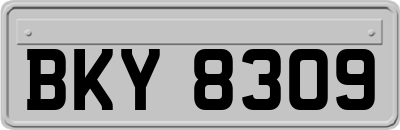 BKY8309