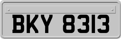 BKY8313