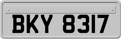 BKY8317