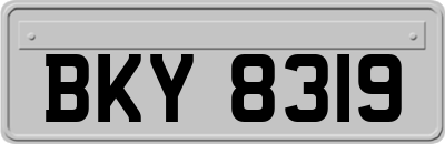 BKY8319