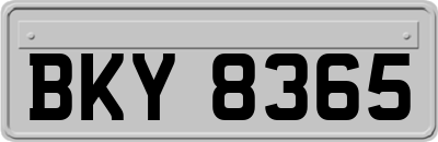 BKY8365