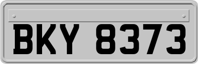 BKY8373