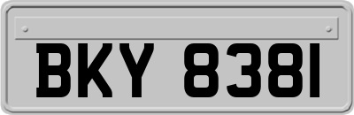 BKY8381