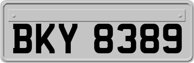 BKY8389