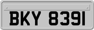 BKY8391