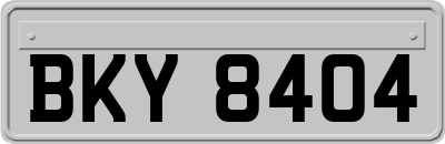 BKY8404