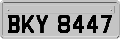 BKY8447