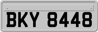 BKY8448