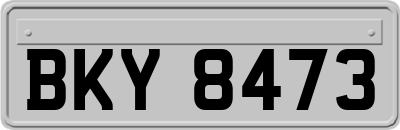 BKY8473