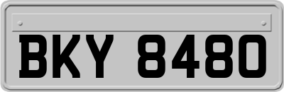 BKY8480