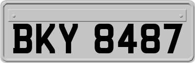 BKY8487