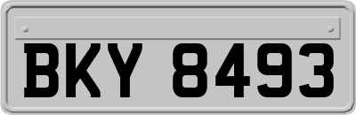 BKY8493