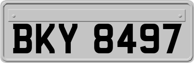 BKY8497