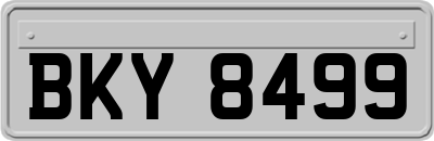 BKY8499