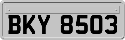 BKY8503