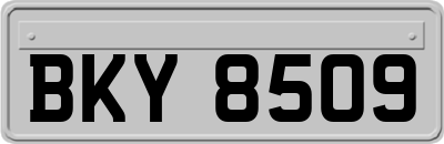 BKY8509