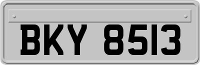 BKY8513