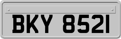 BKY8521