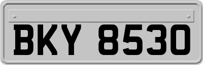 BKY8530